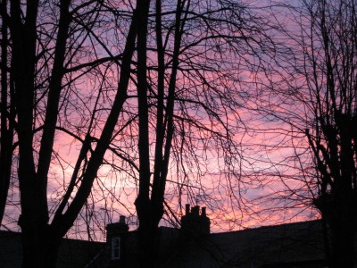 Image Thumbnail