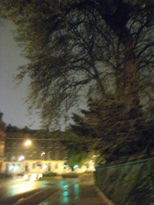 Image Thumbnail