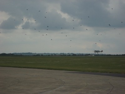Image Thumbnail